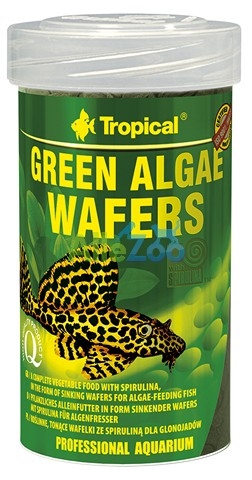 Tropical GREEN ALGAE WAFERS