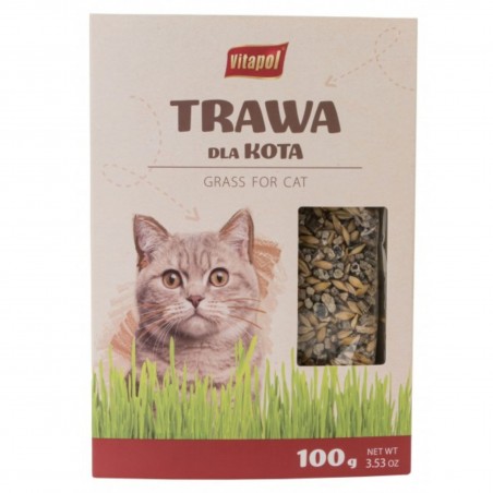 Vitapol TRAWA W POJEMNIKU dla kota 100g