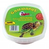 Chico GAMMARUS pokarm dla żółwi i dużych ryb