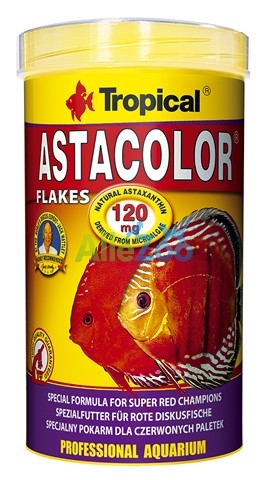 Tropical ASTACOLOR