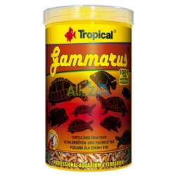 Tropical GAMMARUS