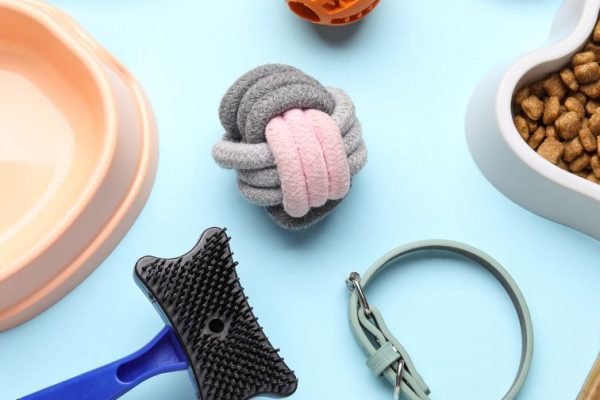 Wyprawka dla psa – sprawdź listę rzeczy, które warto kupić