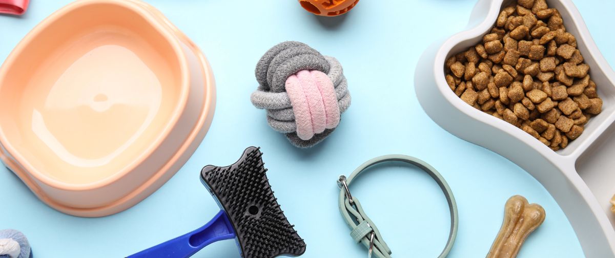 Wyprawka dla psa – sprawdź listę rzeczy, które warto kupić