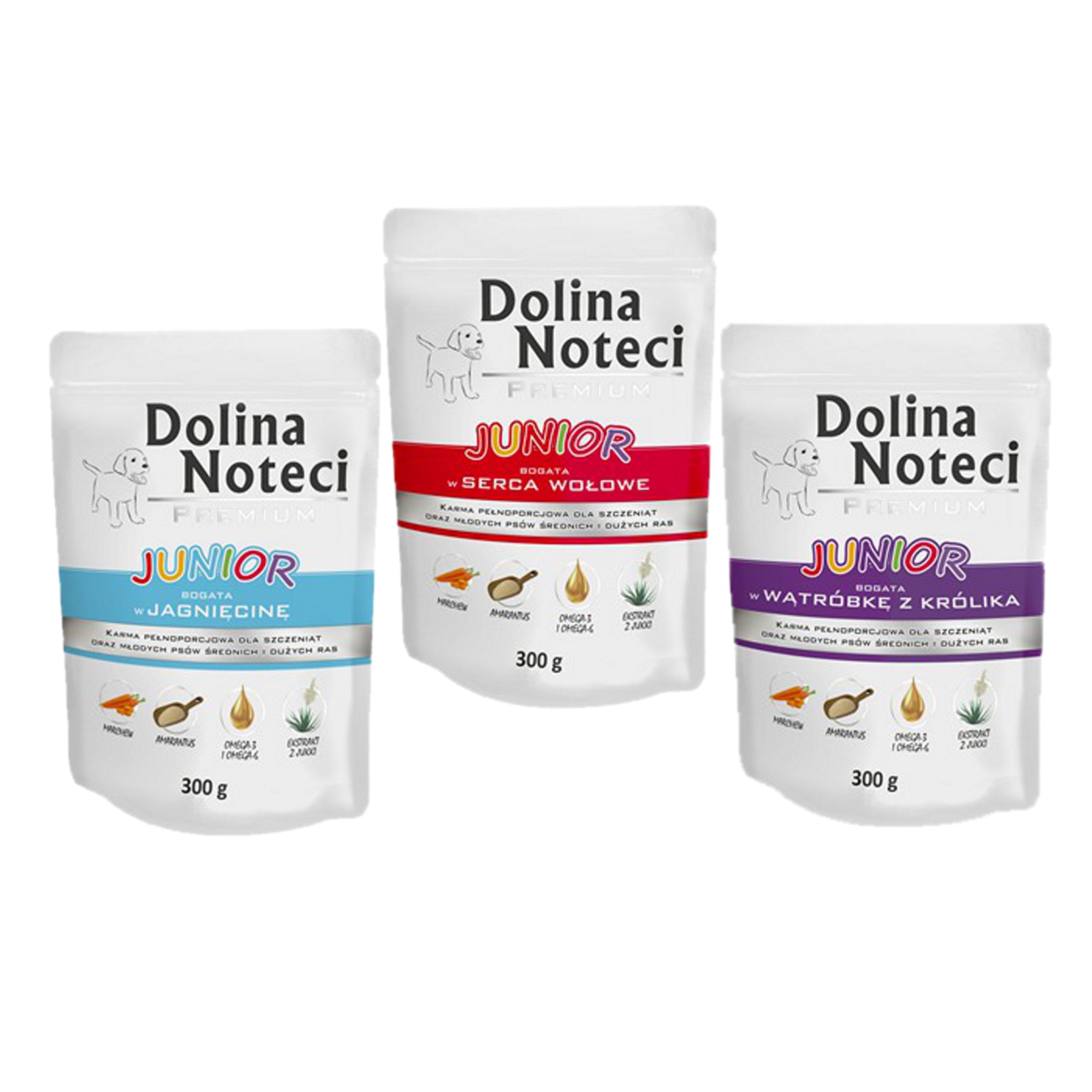 Dolina Noteci Premium JUNIOR saszetka Pakiet MIX smaków 30x300g