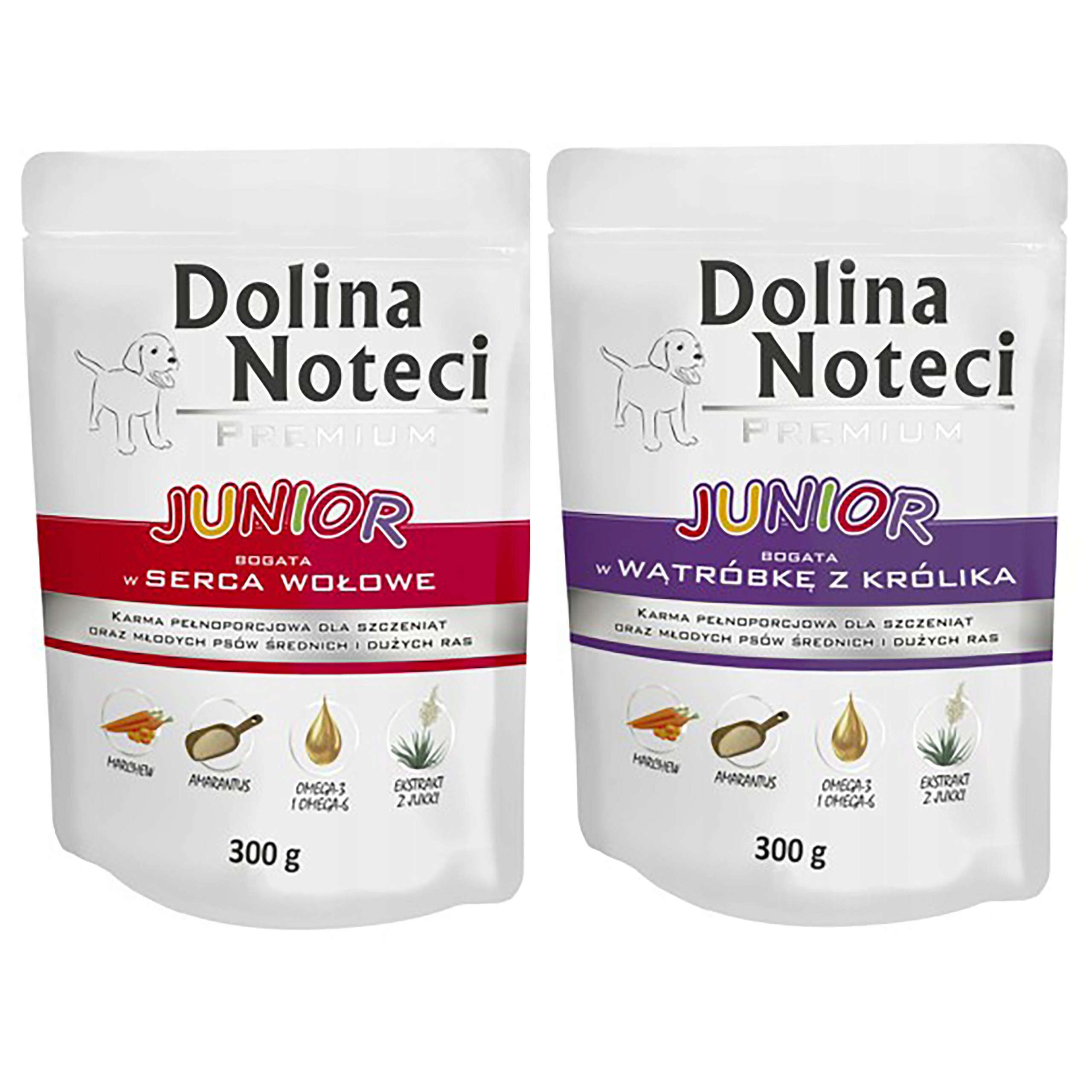 Dolina Noteci Premium JUNIOR saszetka Pakiet MIX smaków 70x300g