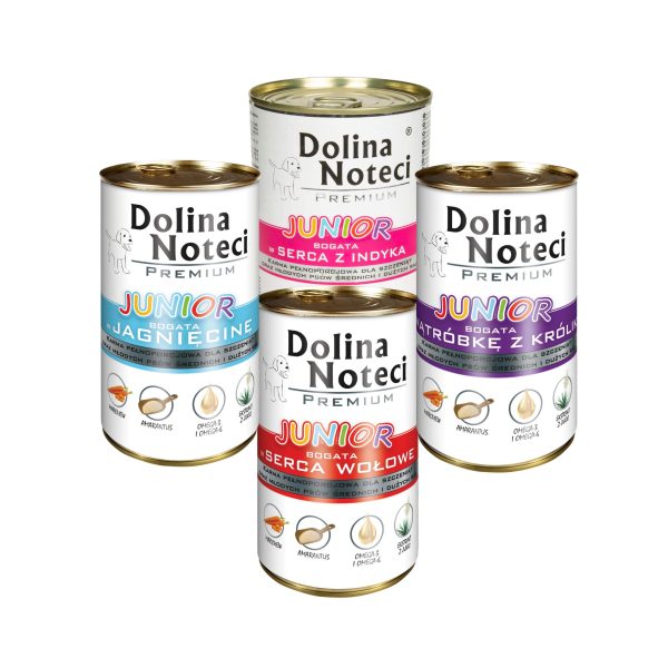 Dolina Noteci Premium JUNIOR Pakiet MIX smaków 24x400g