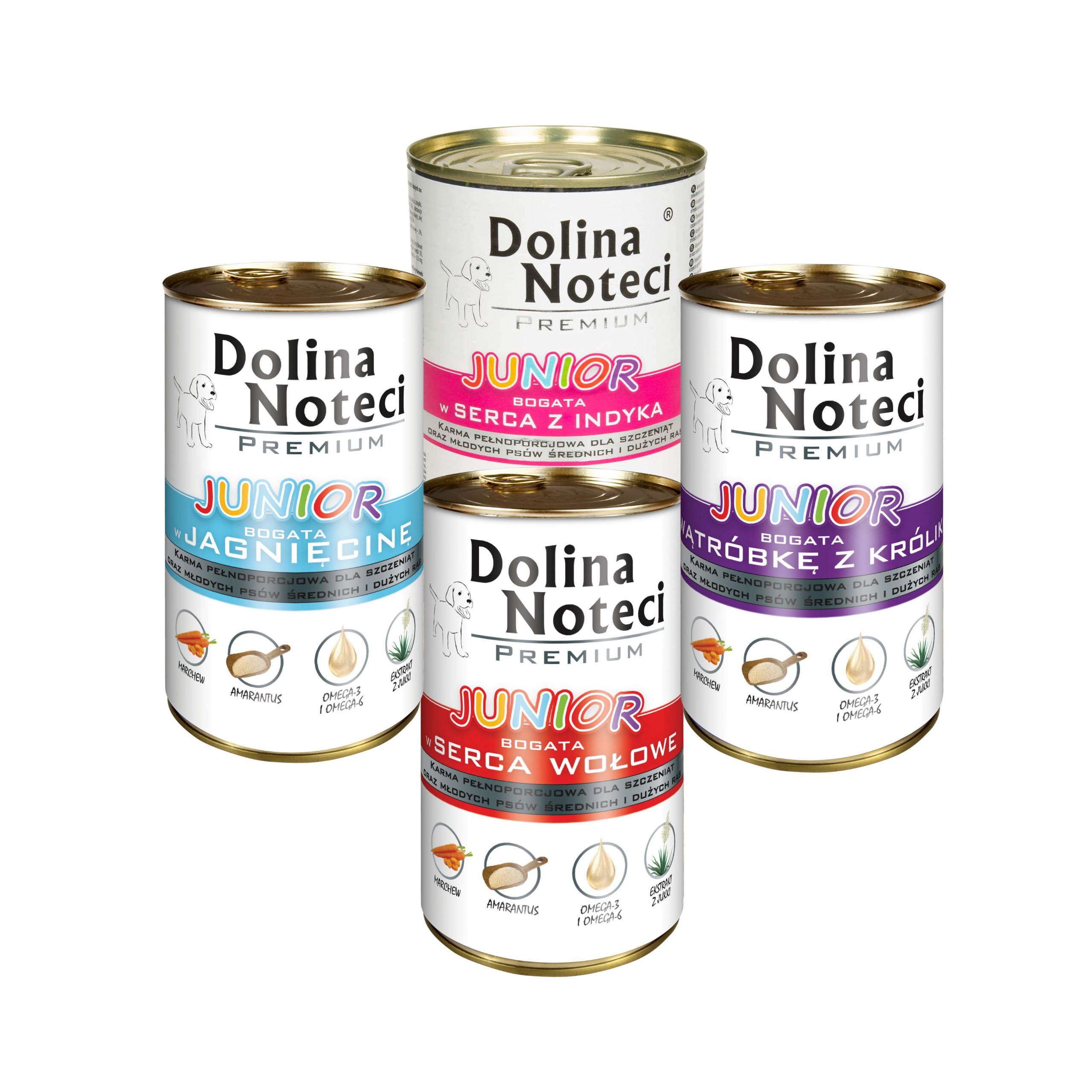 Dolina Noteci Premium JUNIOR Pakiet MIX smaków 24x400g