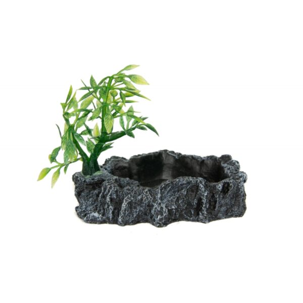 AQUA HABITAT Miseczka z roślinką