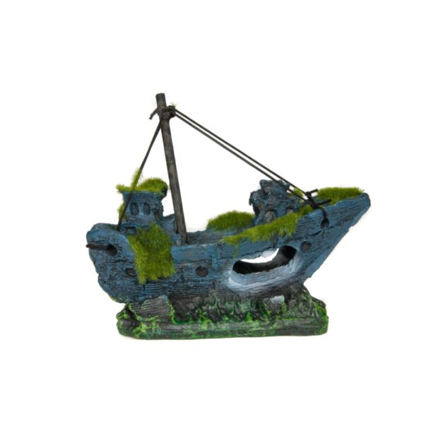 AQUA HABITAT Statek z mchem
