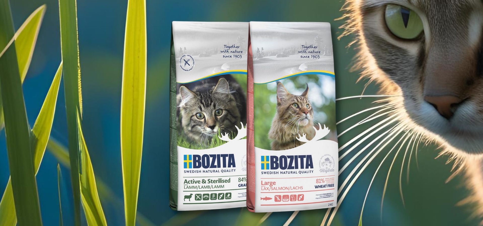 Bozita 2kg