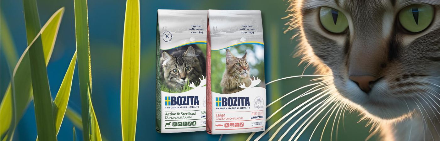 Bozita 2kg