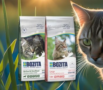 Bozita 2kg
