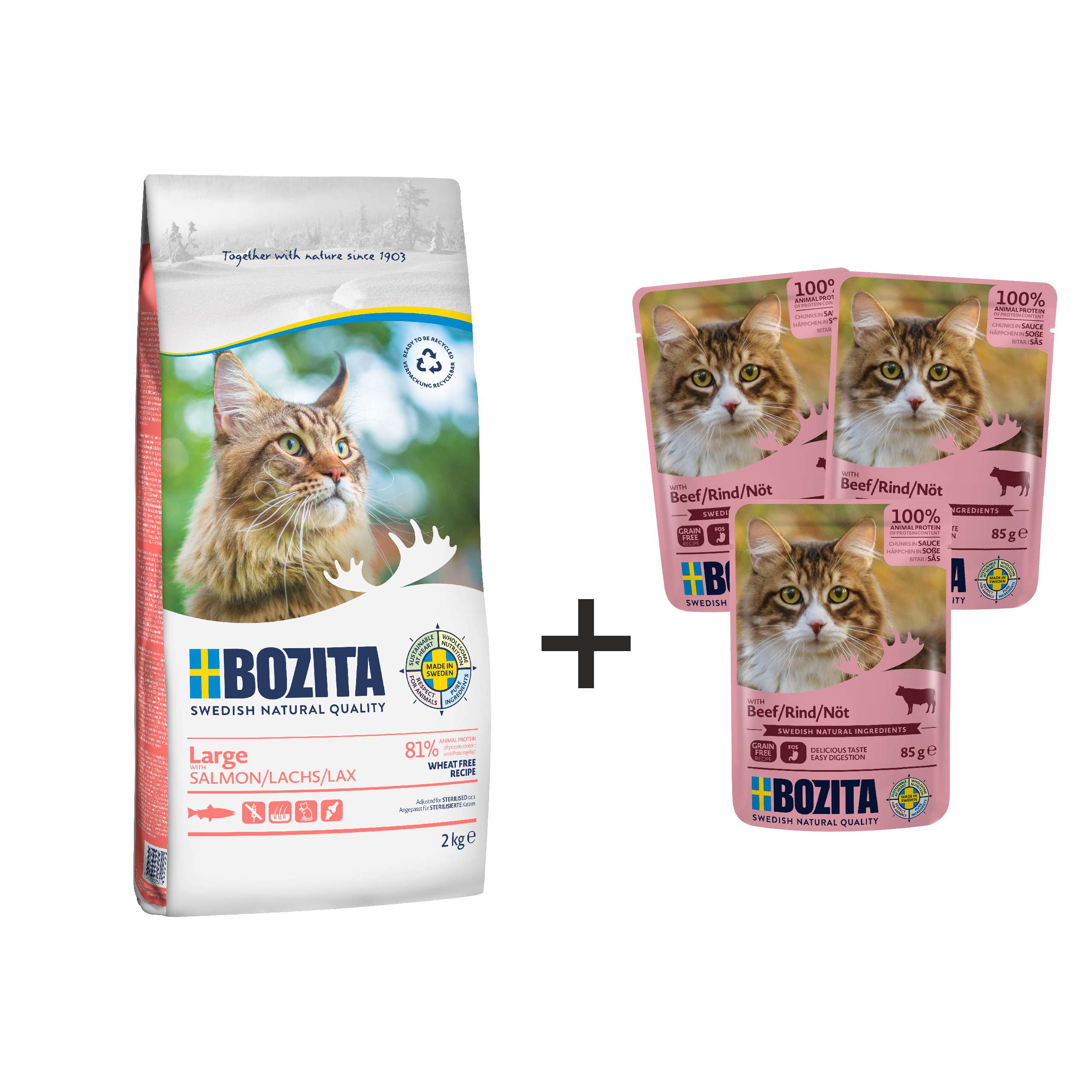 BOZITA LARGE Wheat Free 2kg + 3 saszetki gratis!