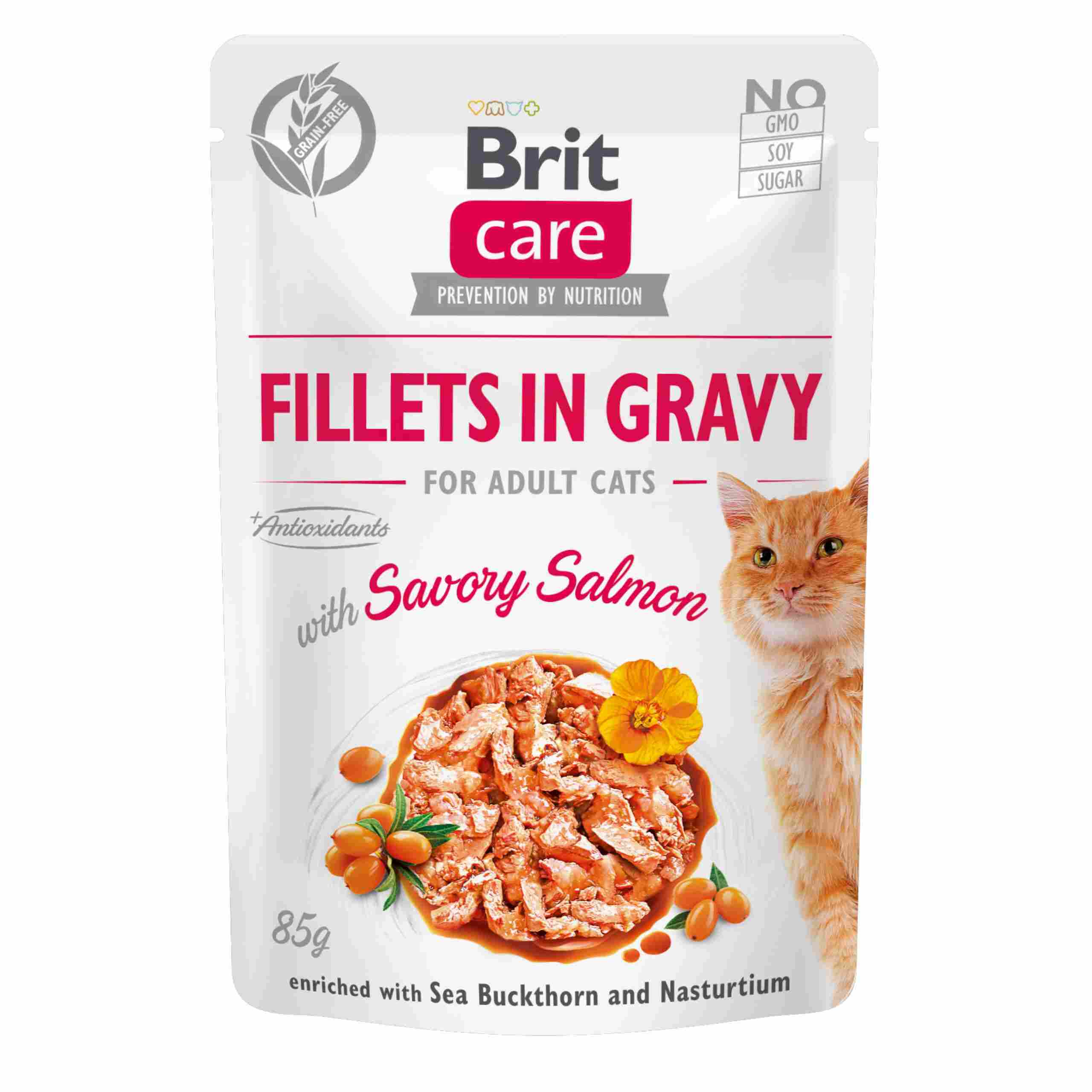 BRIT Care saszetka FILLETS IN GRAVY Savory Salmon 85g