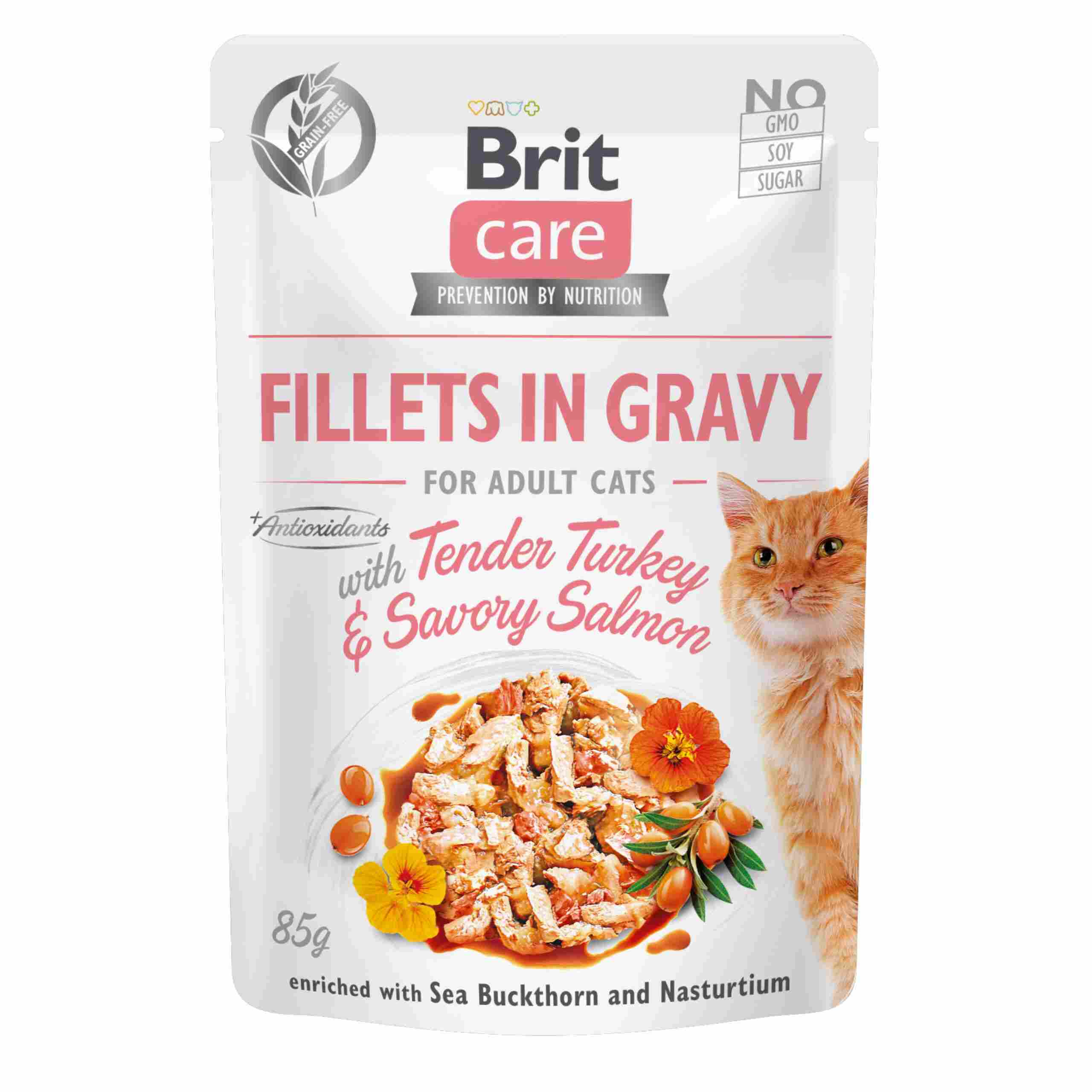 BRIT Care saszetka FILLETS IN GRAVY Turkey Salmon 85g