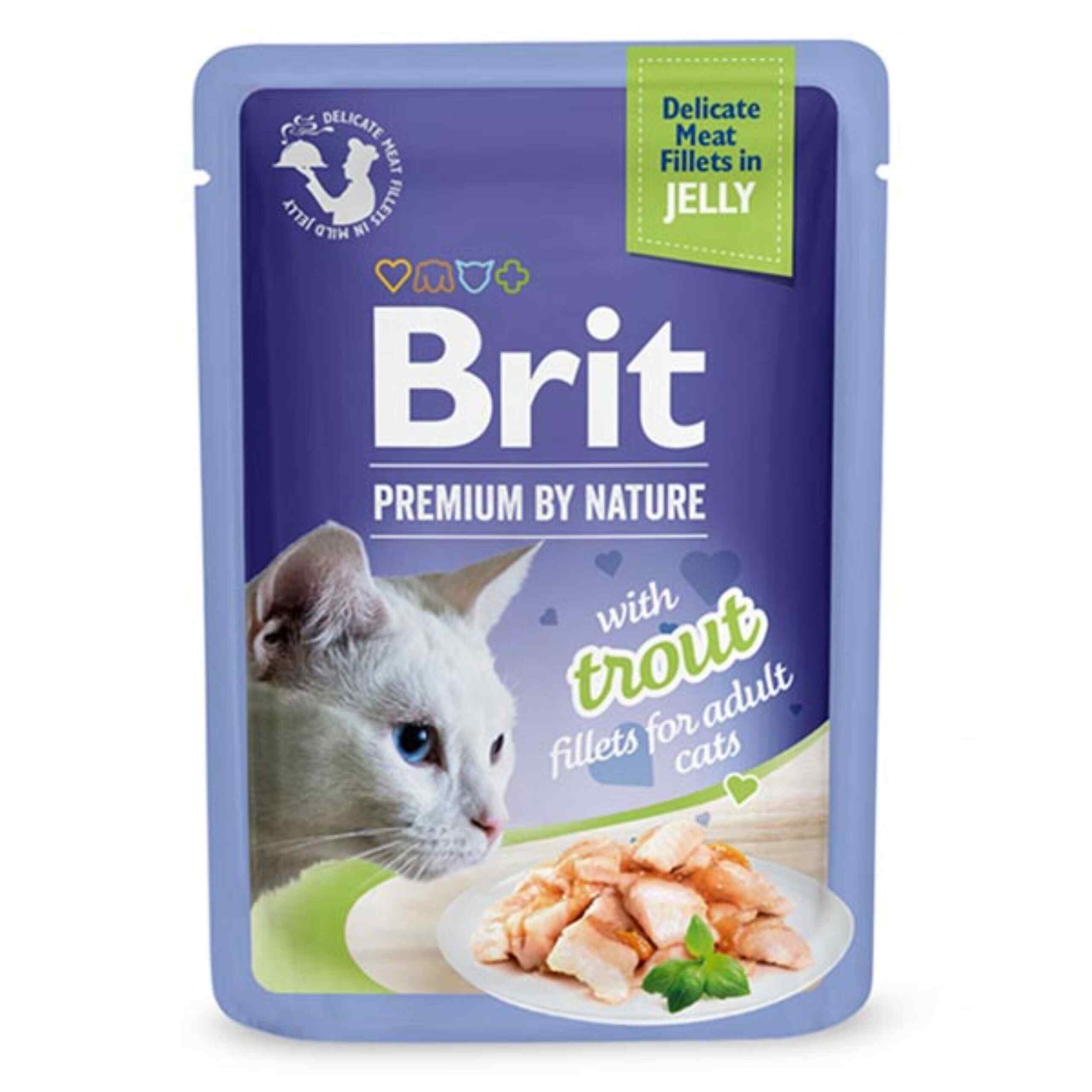 BRIT PREMIUM saszetka FILLETS IN JELLY Trout 85g