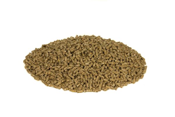 POLNE SMAKI Granulat dla królików i gryzoni 10kg - obrazek 2