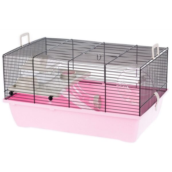 INTER-ZOO PINKY 1 color