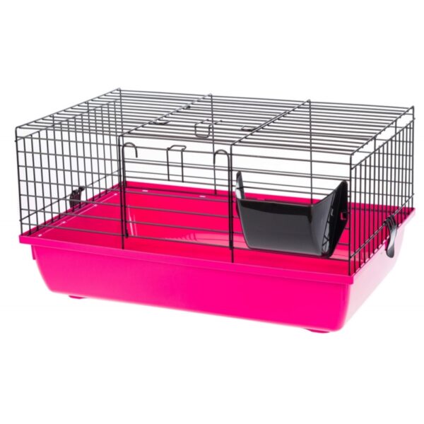 INTER-ZOO RABBIT 60 color