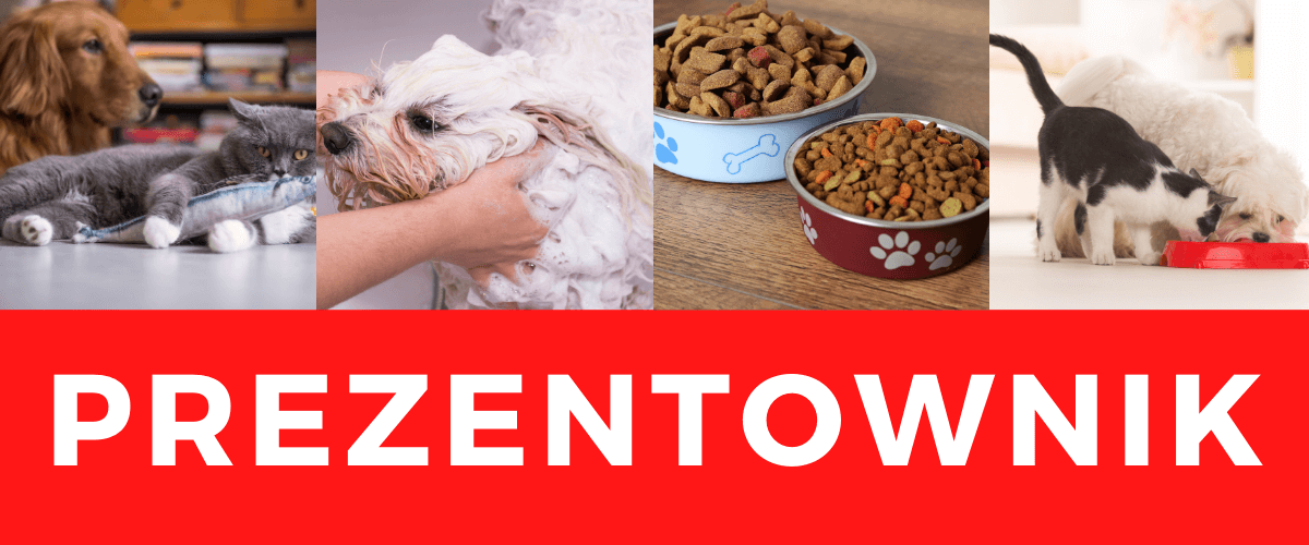 Prezent na święta dla psa i kota – TOP 5 w 2020 roku