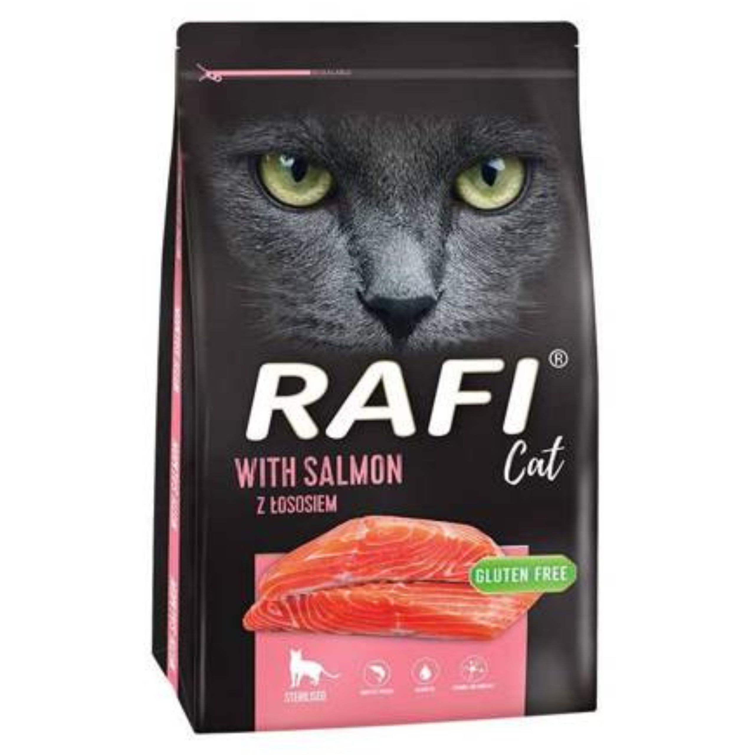 RAFI Cat Salmon