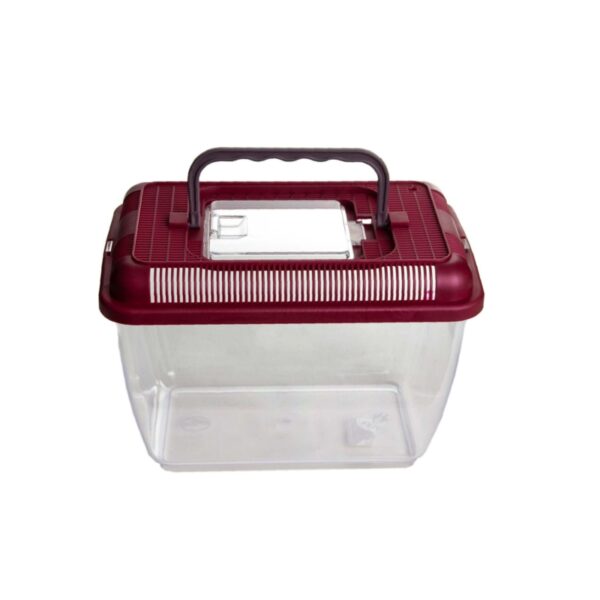 Sumplast TERRARIUM przenośne 1,5L 18,6x11,6x13,5cm