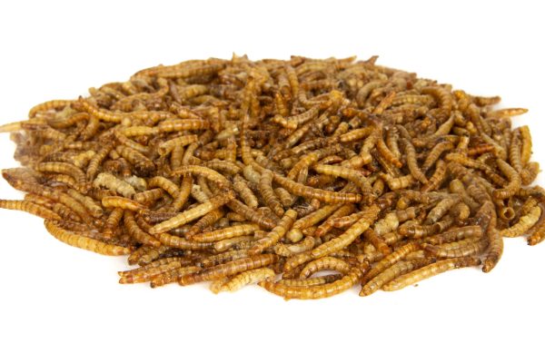 ZIOŁOWA KOTLINA Larwa Mącznika 500g - obrazek 2