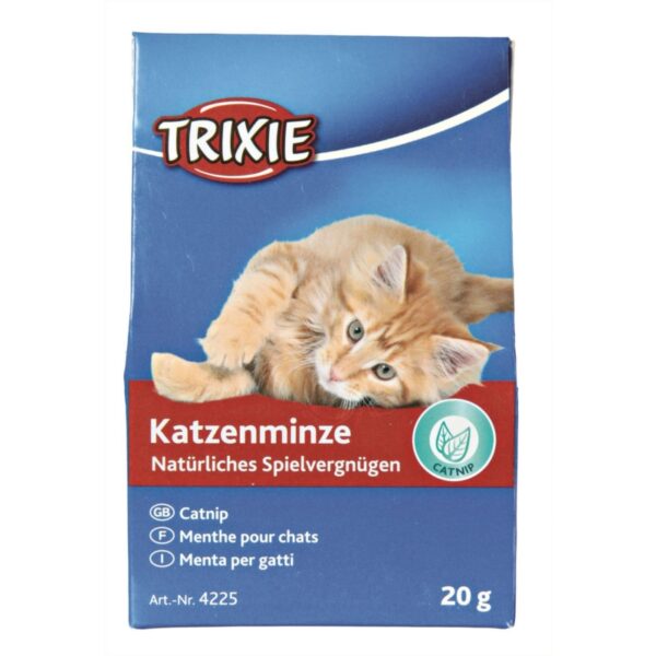 TRIXIE Kocia miętka KOCIMIĘTKA w kartoniku 20g
