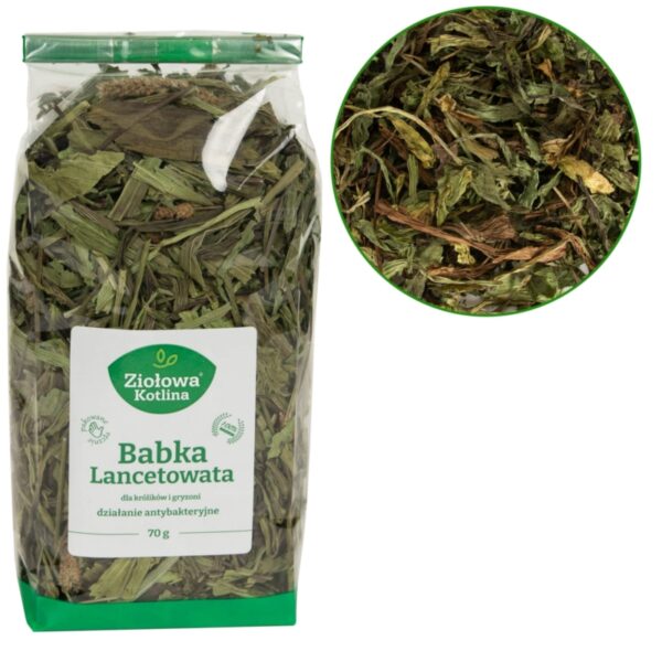 ZIOŁOWA KOTLINA Babka Lancetowata 70g