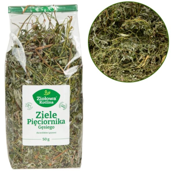 ZIOŁOWA KOTLINA Ziele Pięciornika 50g