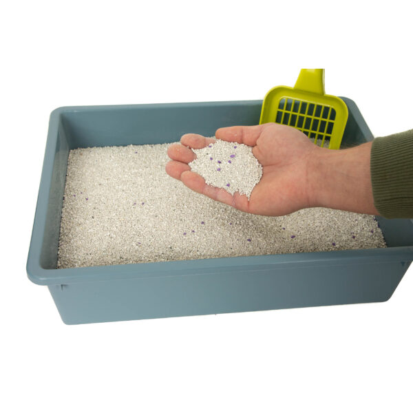 CHICO żwirek BENTONITOWY Compact Lawenda - obrazek 4