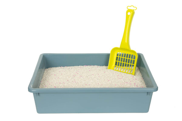 CHICO żwirek BENTONITOWY Compact Pudrowy - obrazek 4