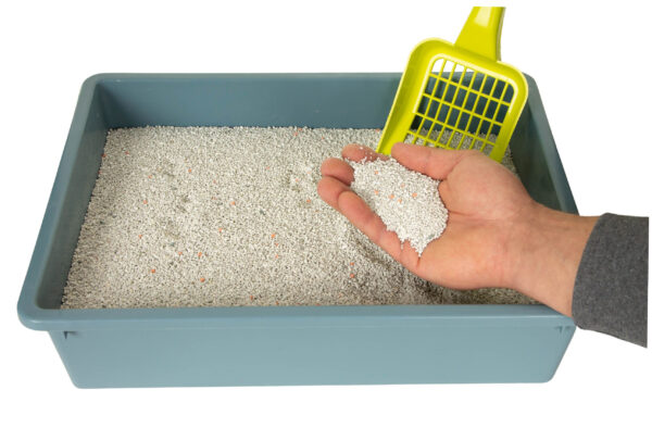 CHICO żwirek Bentonitowy Compact Wiosenna Śwież 5L - obrazek 7